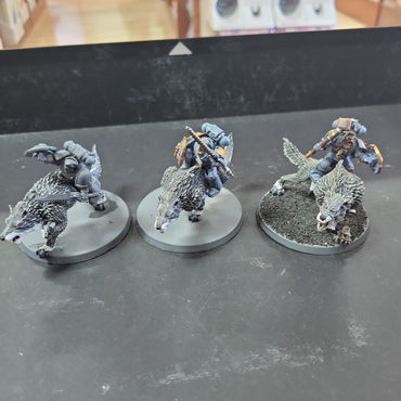 Space Wolves - Thunderwolf Cavalry Used #636