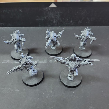 Space Wolves - Wolfen Used #638