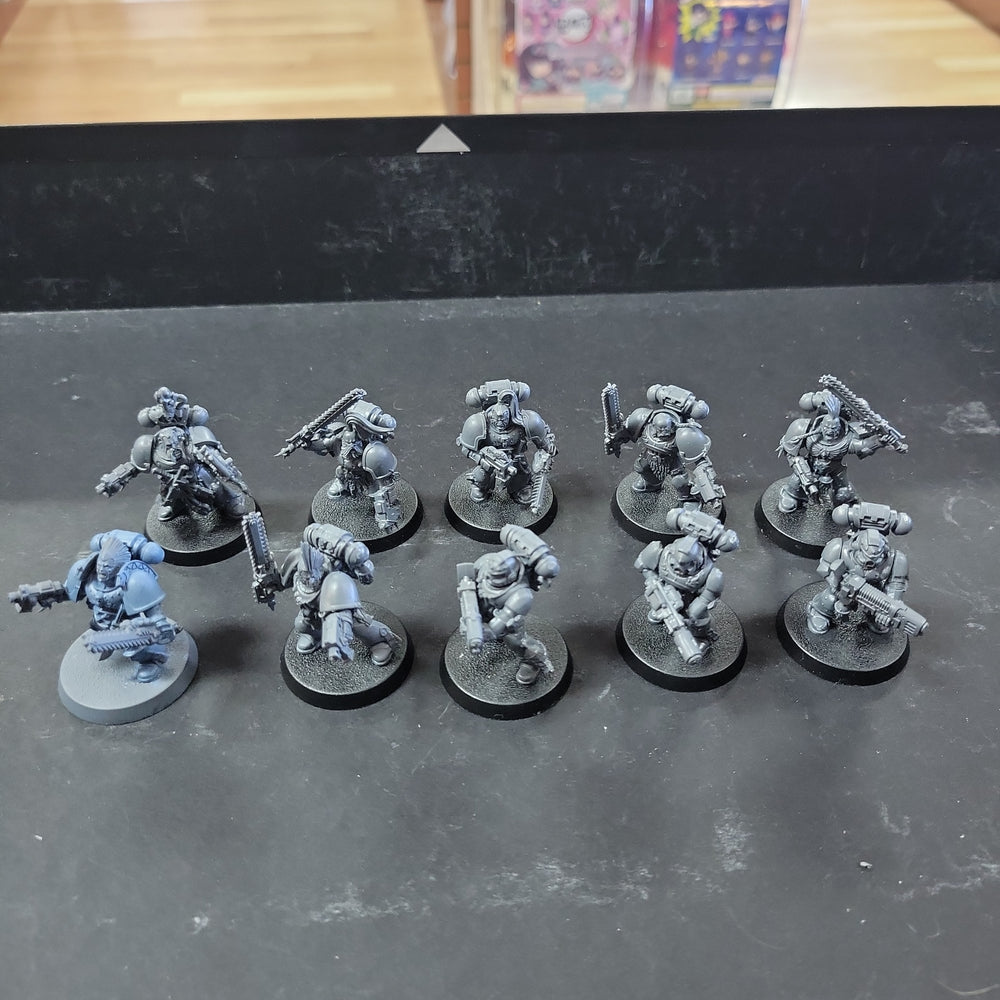 Space Wolves - Grey Hunters Used #639