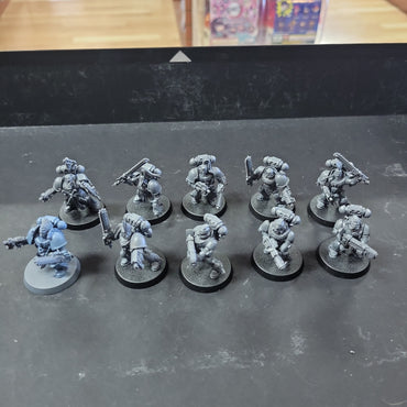 Space Wolves - Grey Hunters Used #639