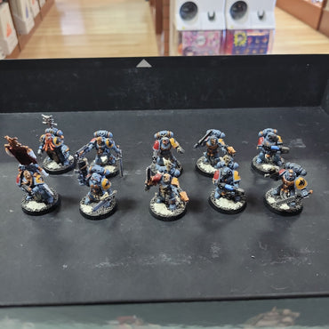 Space Wolves - Grey Hunters Used #640