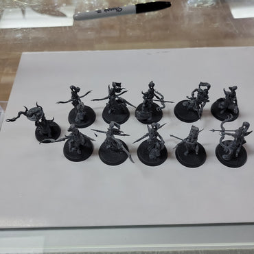 Hedonites of Slaanesh - Blissbarb Archers Used #578