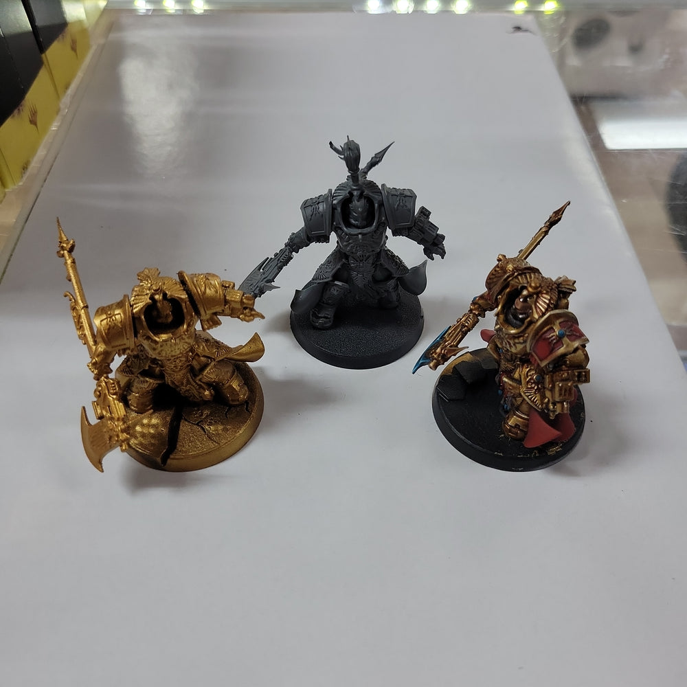 Adeptus Custodes - Allarus Custodians Used #620