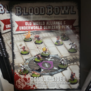 Blood Bowl - Old World Alliance & Underworld Denizens pitch