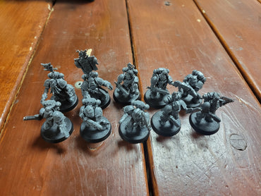 Space Wolves Grey Hunters Used #65