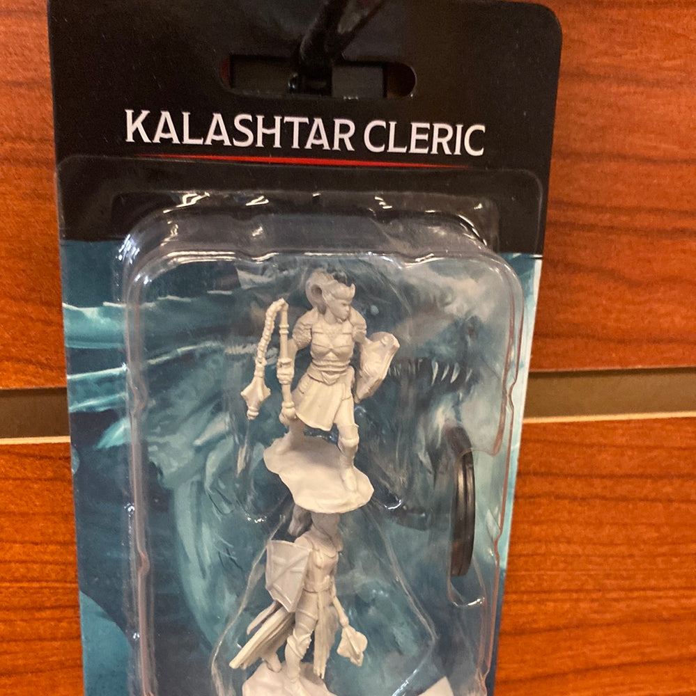 Nolzur’s Marvelous Miniatures Kalashtar Cleric 14