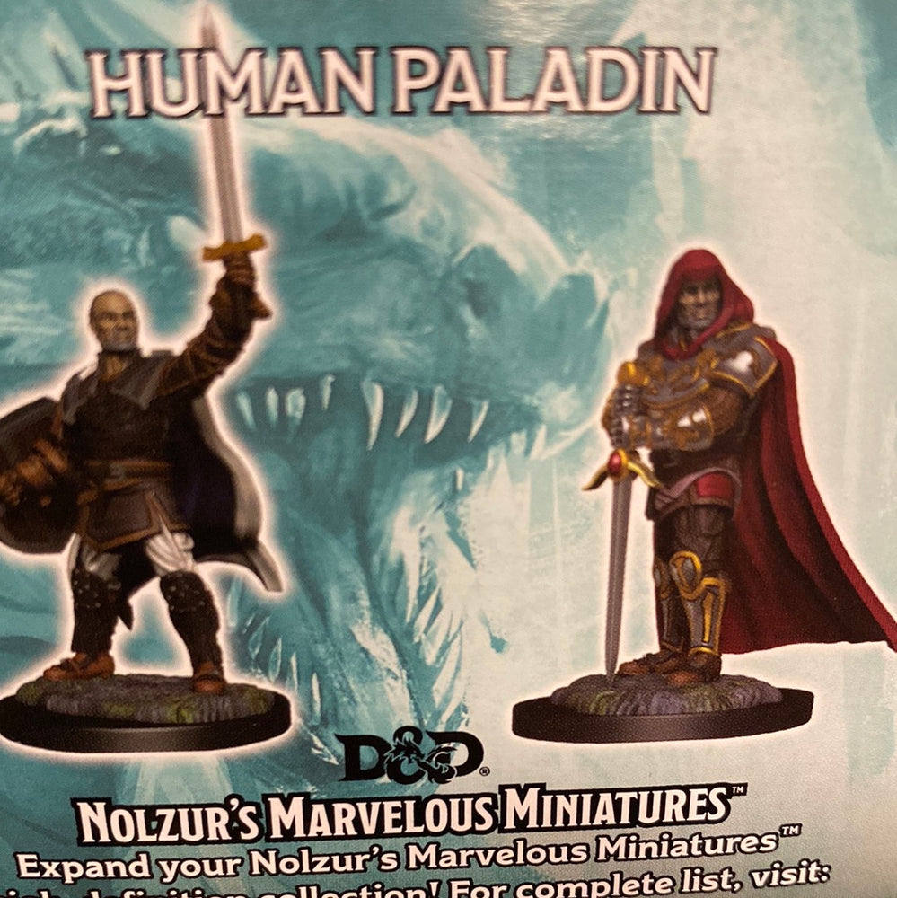 Human Paladin Wave 13