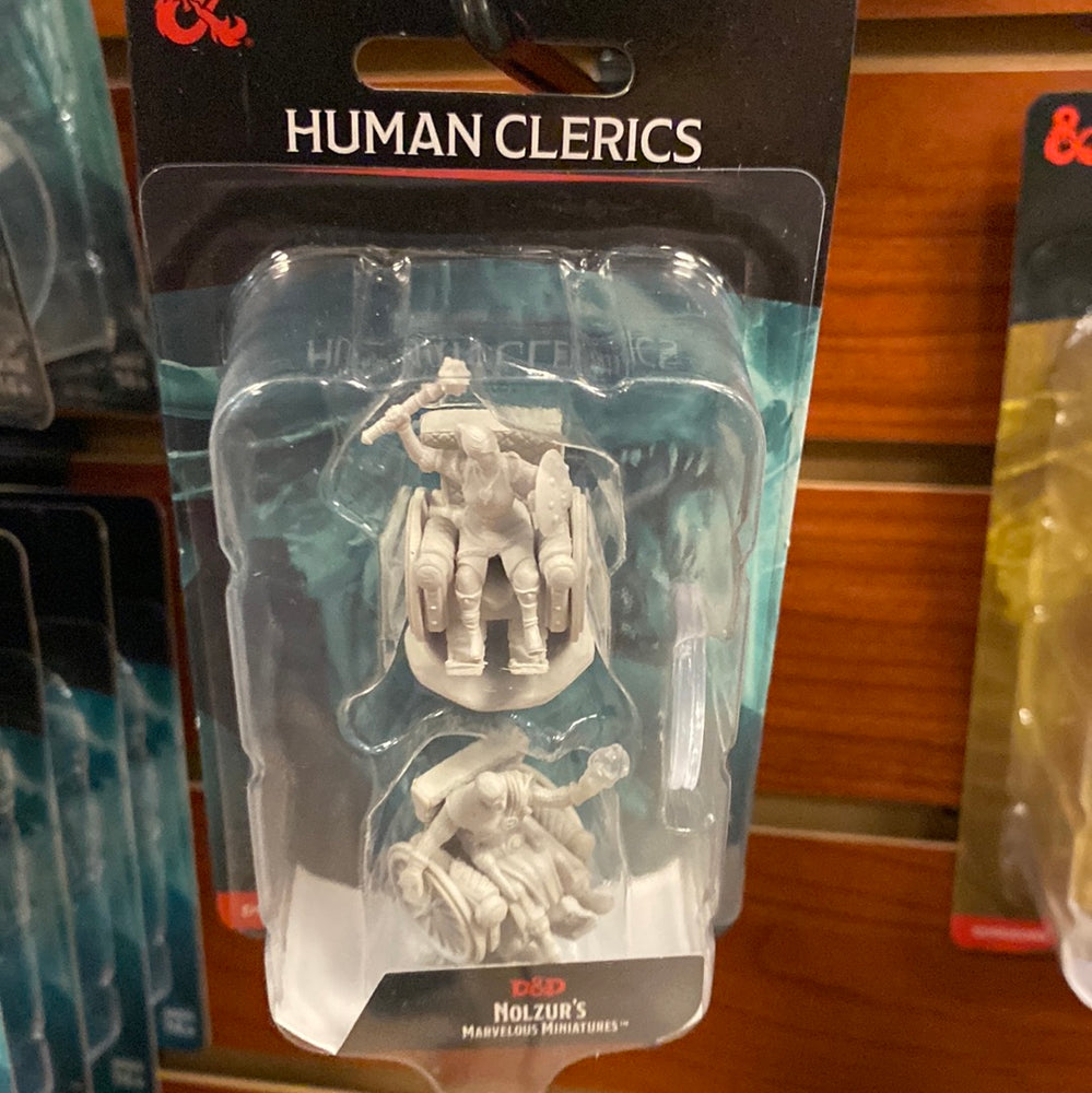 D&D Miniatures Human Cleric Wave 18