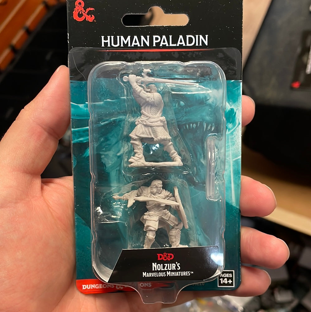 Human Paladin wave 14