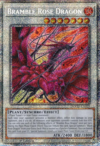 Bramble Rose Dragon (Starlight Rare) [DOOD-EN039] Starlight Rare