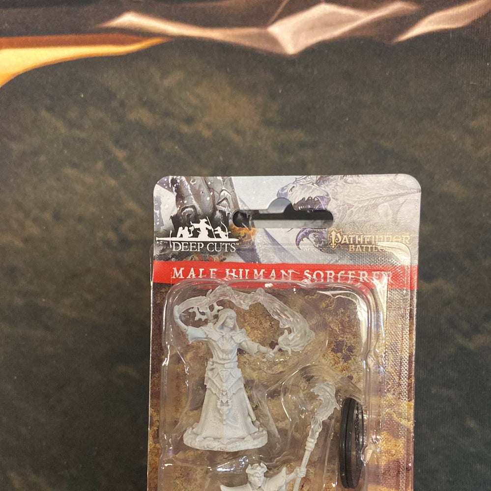 Male Human Sorcerer Wave 11