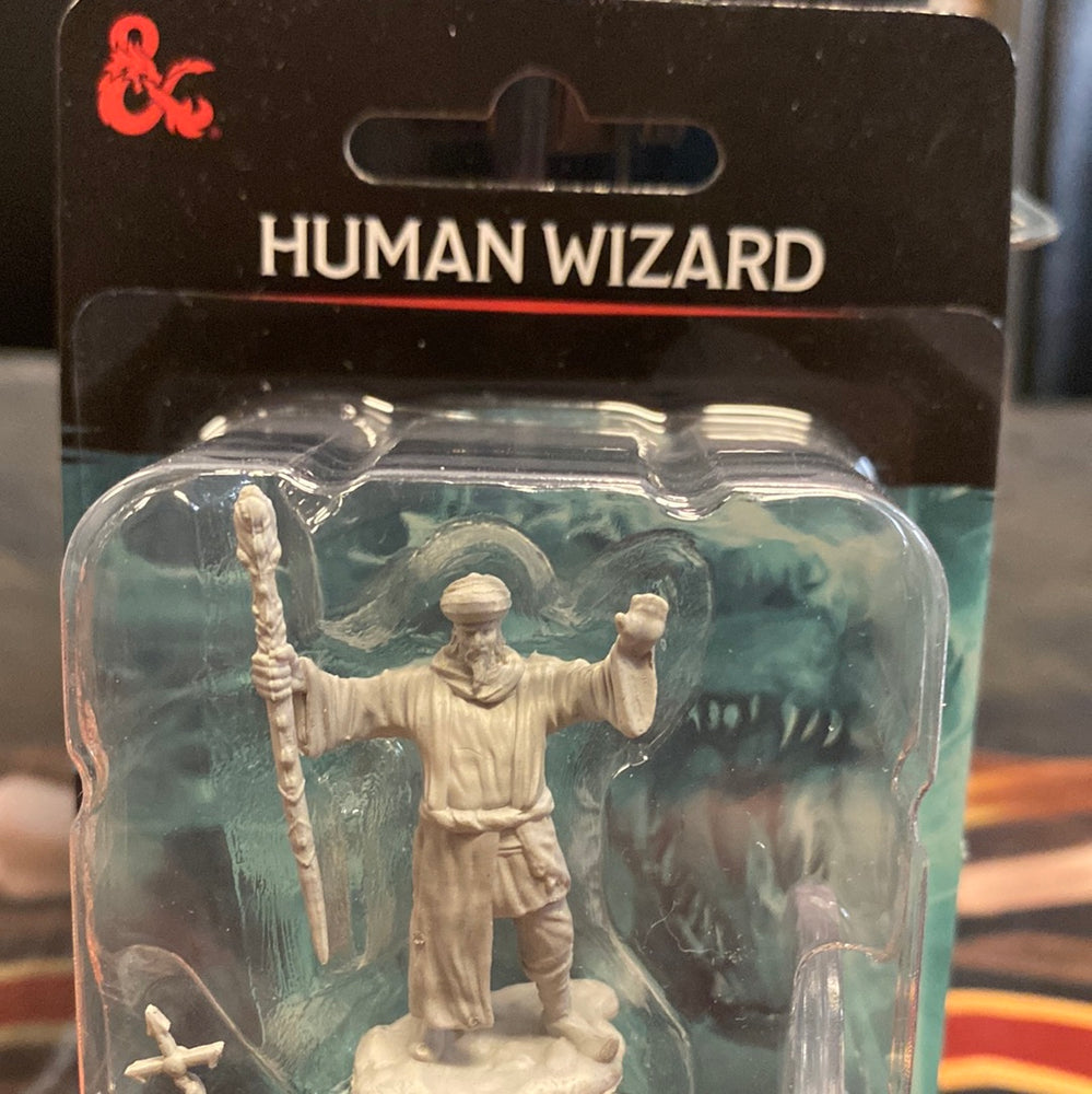 Human Wizard Wave 13