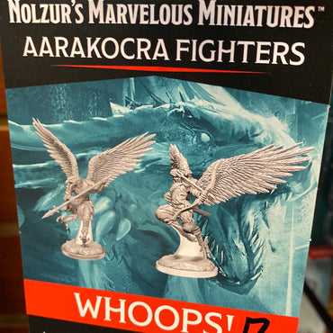 D&D Miniatures Aarakocra Fighters w17