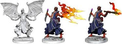 Dungeons and Dragons Frameworks Dragonborn Sorcerer