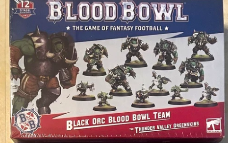 Black Orc Blood Bowl Team: The Thunder Valley Greenskins