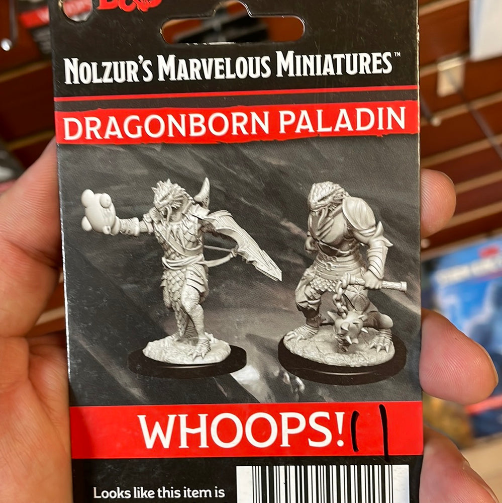 Dragonborn paladin Wave 11