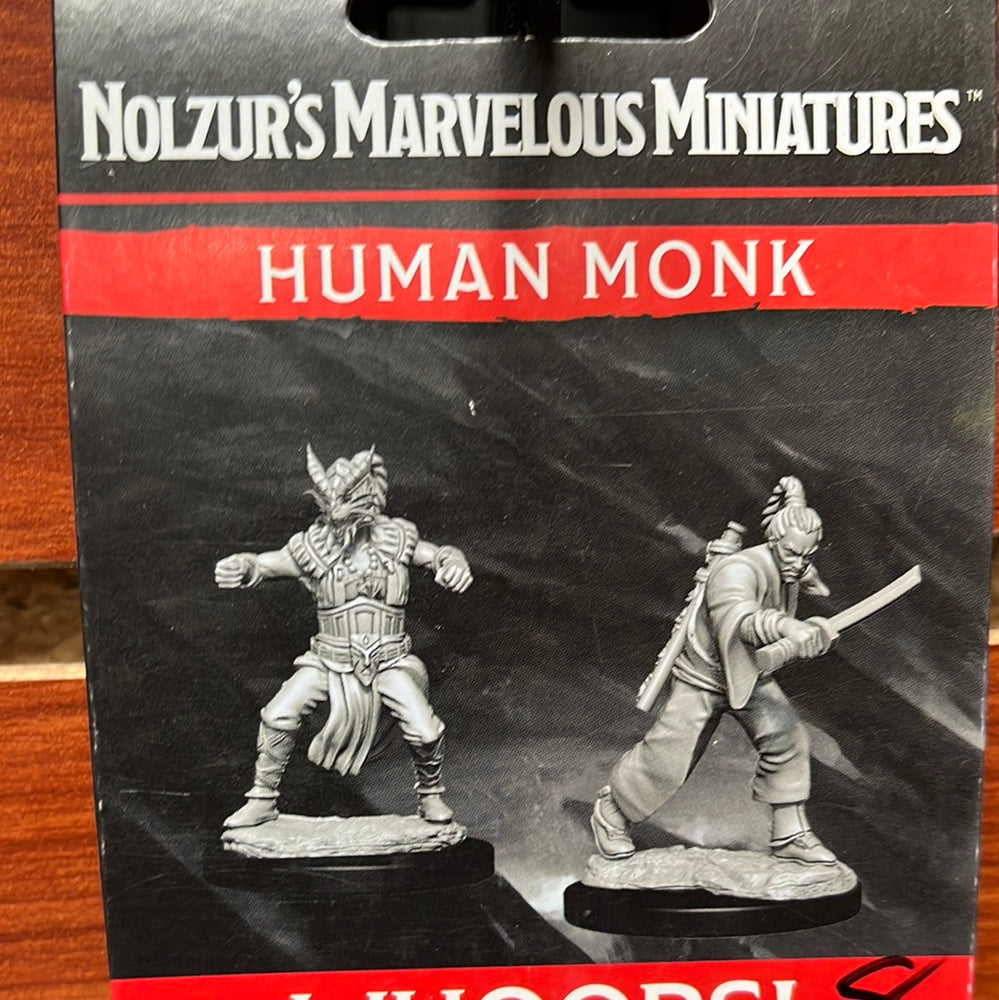D&D miniature Human Monk Wave 8