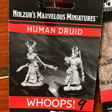 D&D miniature Human Druid Wave 9