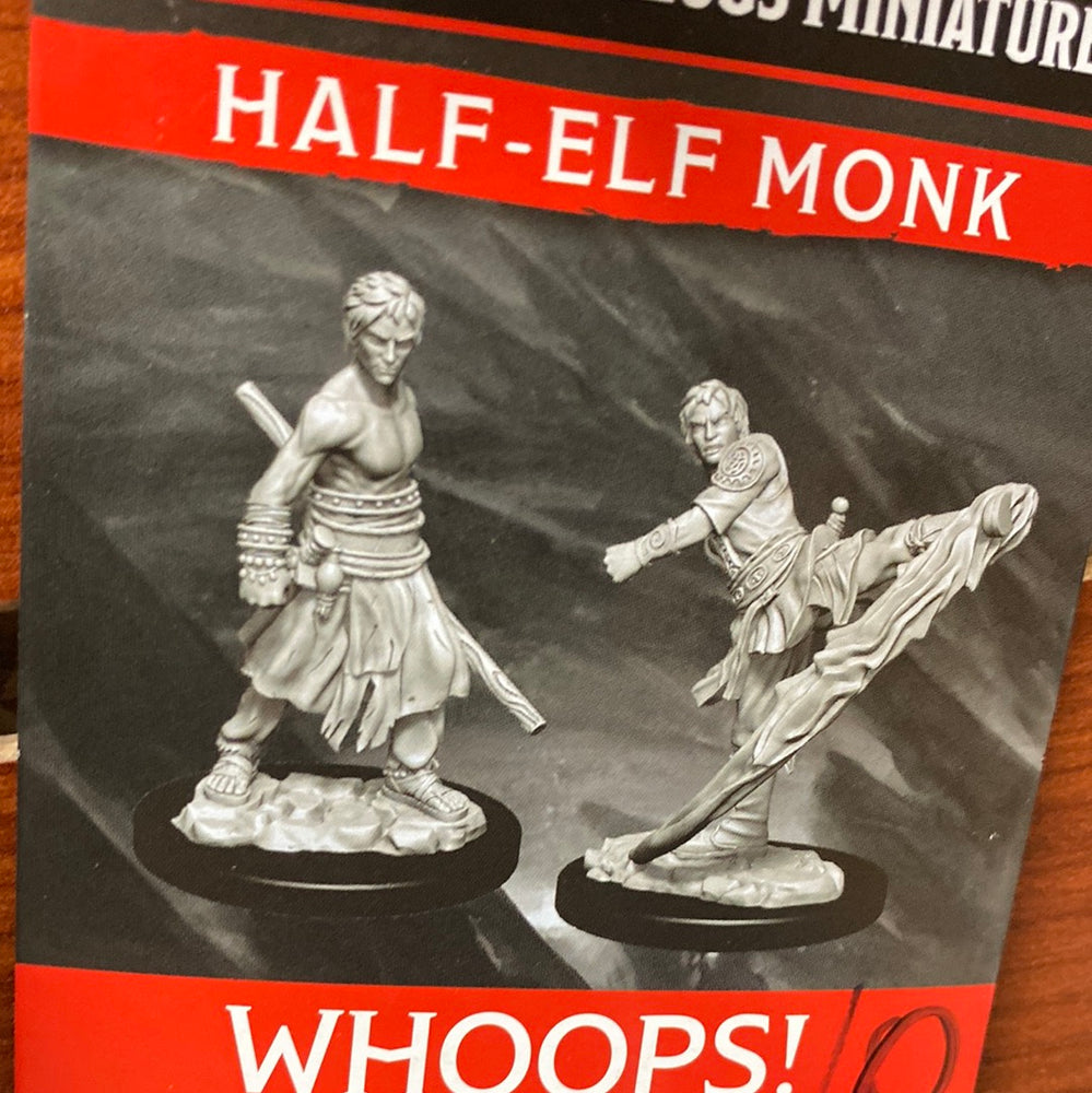 D&D Miniatures Half-Elf Monk Wave 10