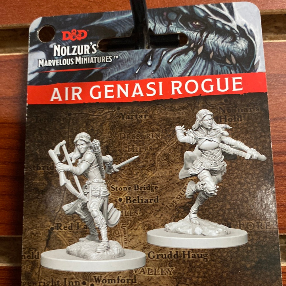 D&D Miniatures Air Genasi Rogue wave 1