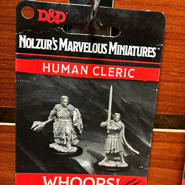 D&D miniature Human Cleric Wave 8
