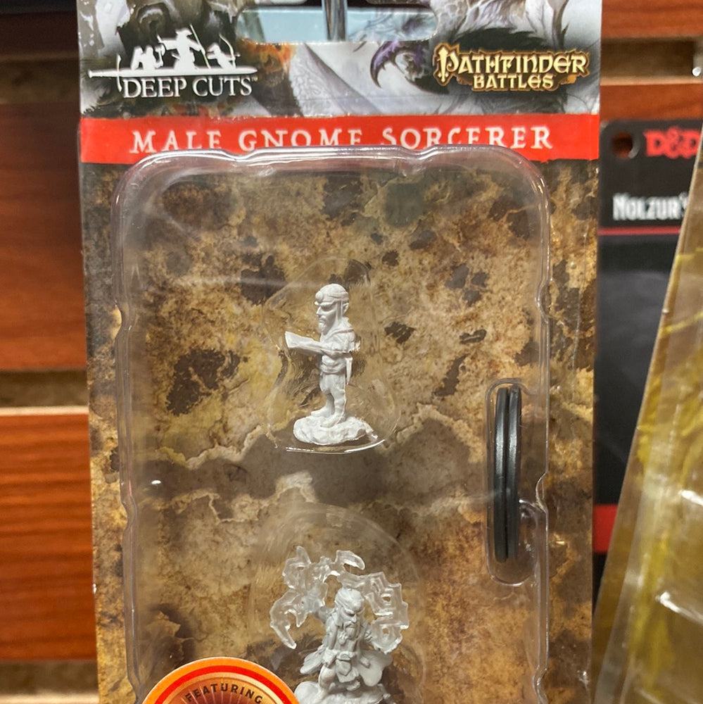 Pathfinder Miniatures Male Gnome Sorcerer