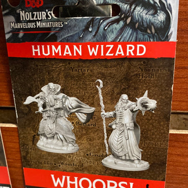 Dungeons and Dragons Miniatures Male Human Wizard wave 1