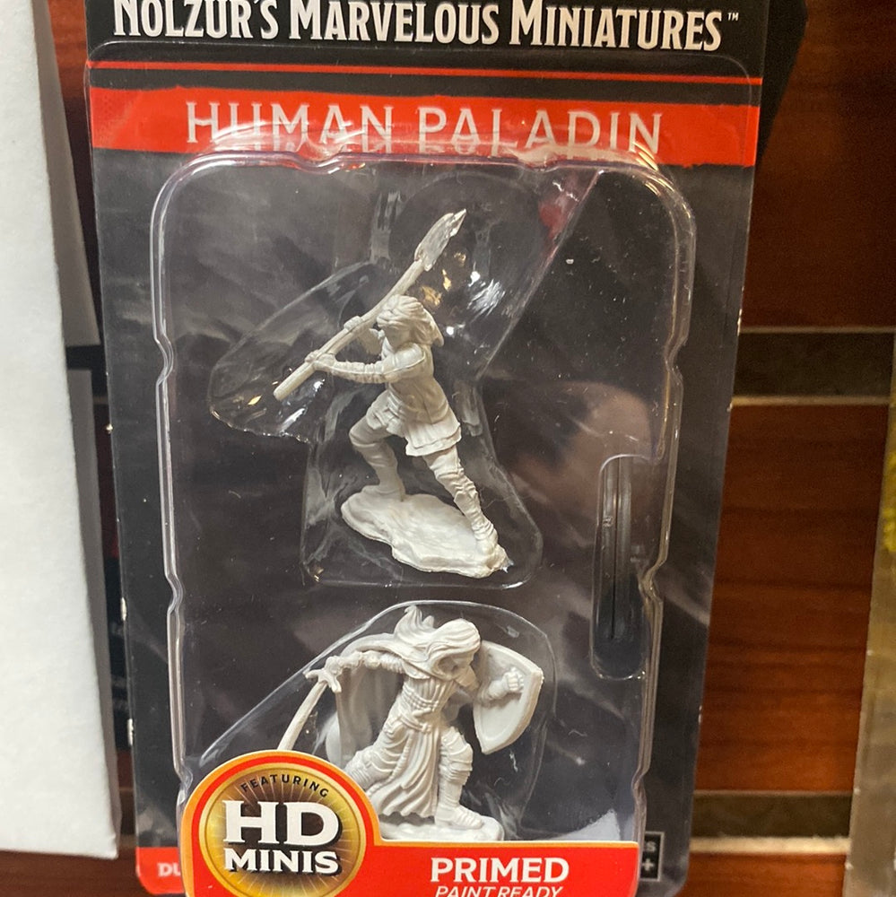 D&D Miniatures Human Paladin