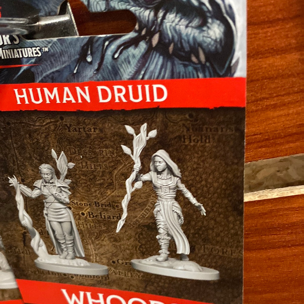 Nolzur’s Miniatures Human Druid Wave 2