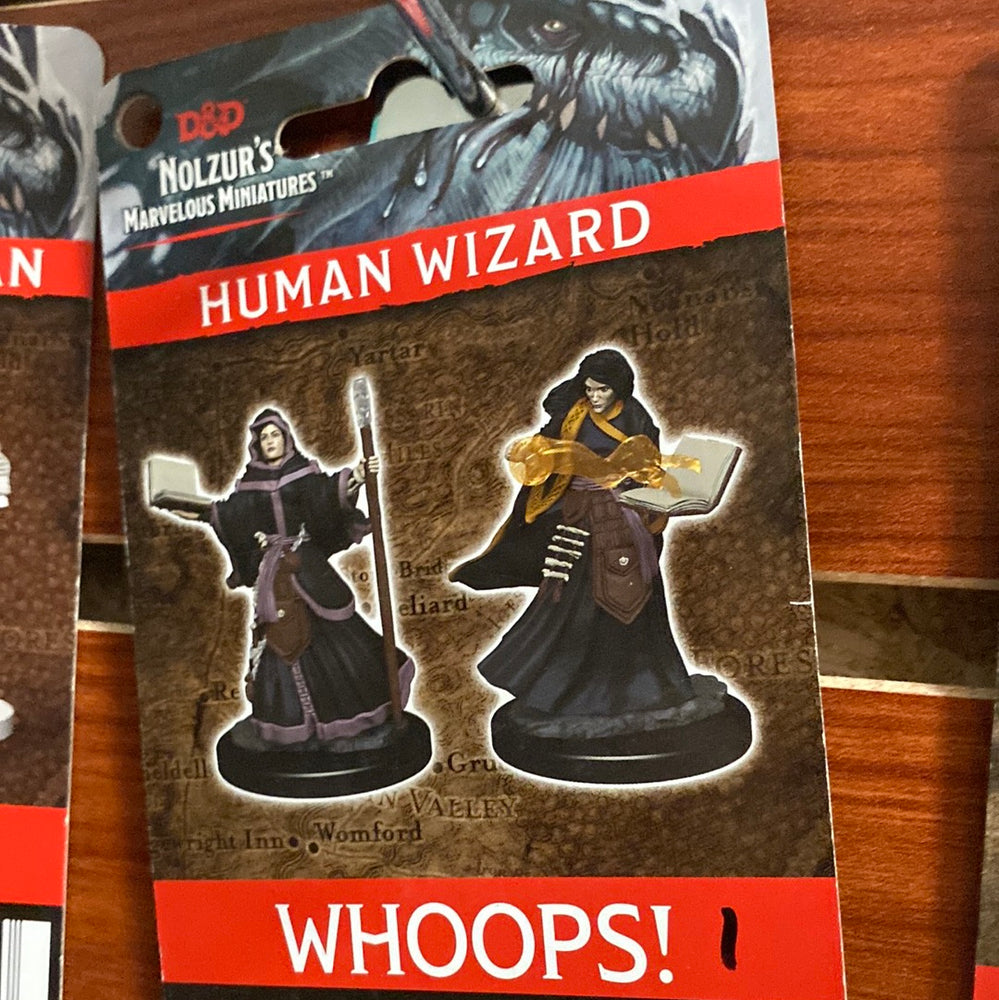 Dungeons and Dragons Miniatures Human Wizard wave 1