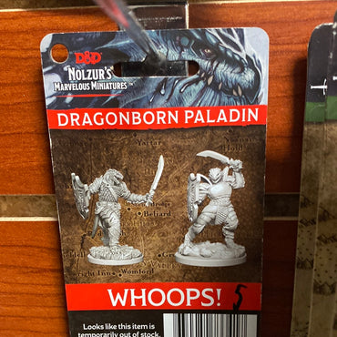 D&D Miniatures Dragonborn Paladin Wave 5