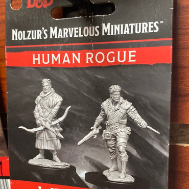 D&D Miniatures Human Rogue Wave 9