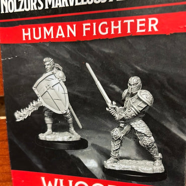 D&D miniature Human Fighter Wave 8