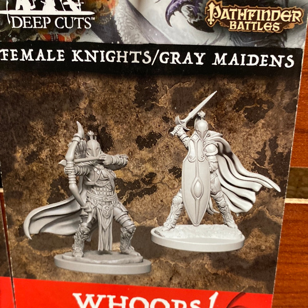 Pathfinder Miniatures Female knights/ Gray maidens Wave 6