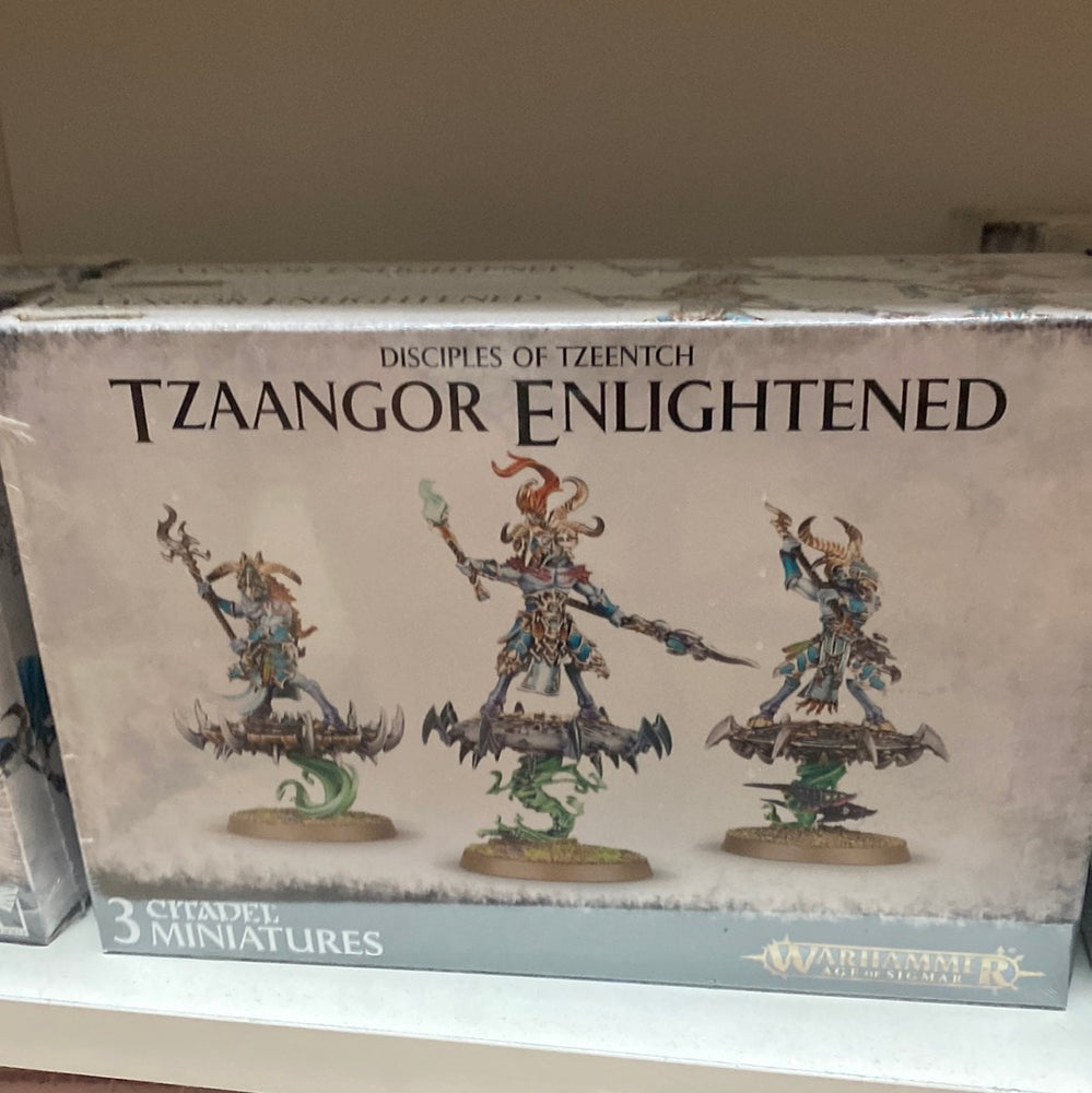 Tzaangor Enlightened