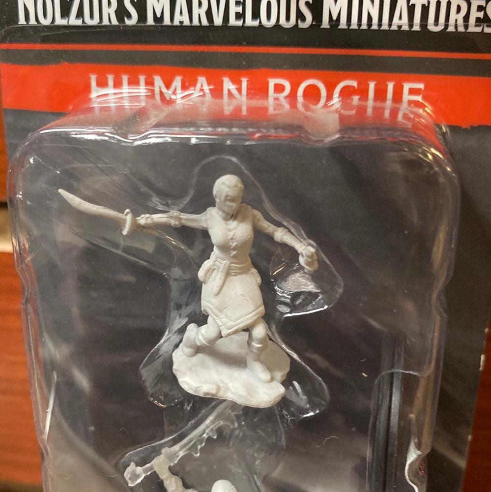 D&D Miniatures Human Rogue wave 10