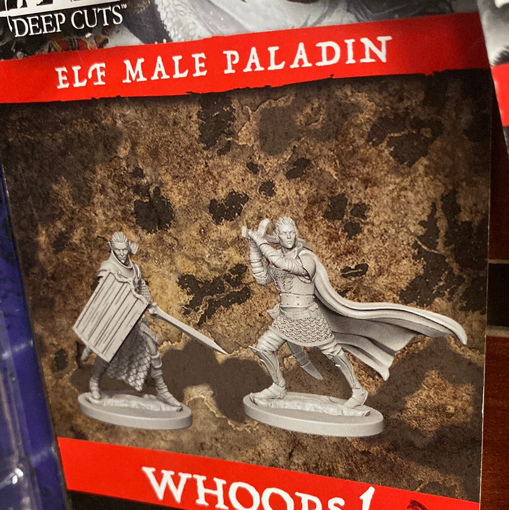 Pathfinder Miniatures Elf male paladin Wave 2