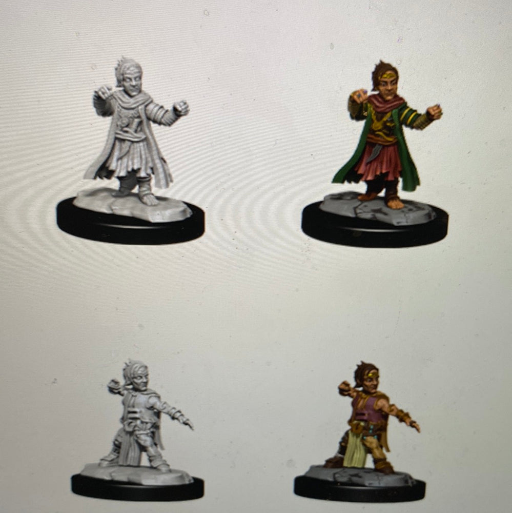 Pathfinder Deep Cuts: Halfling Monk Male Wave 15