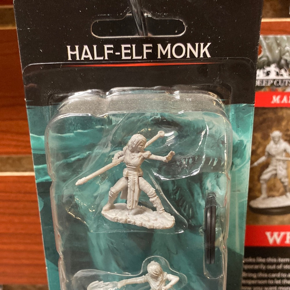 D&D Miniatures Half-Elf Monk