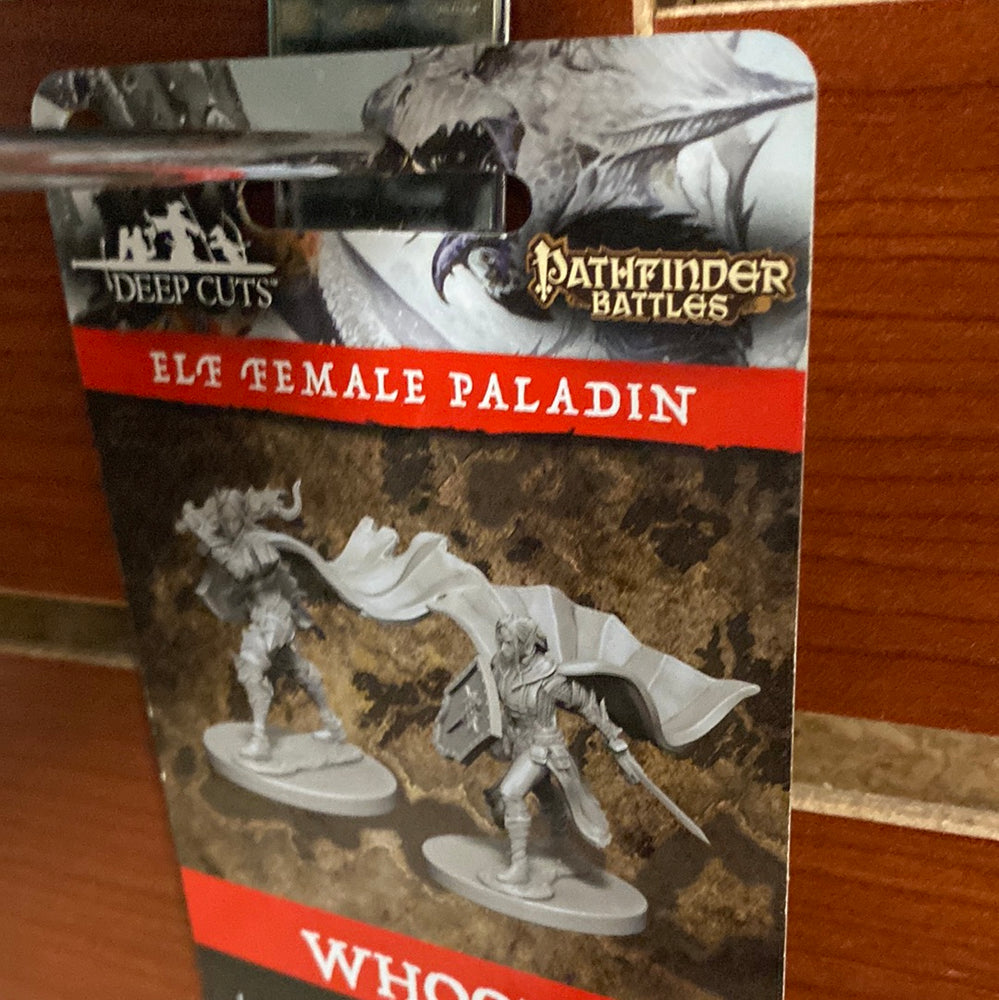 Pathfinder Miniatures Elf Female Paladin Wave 4