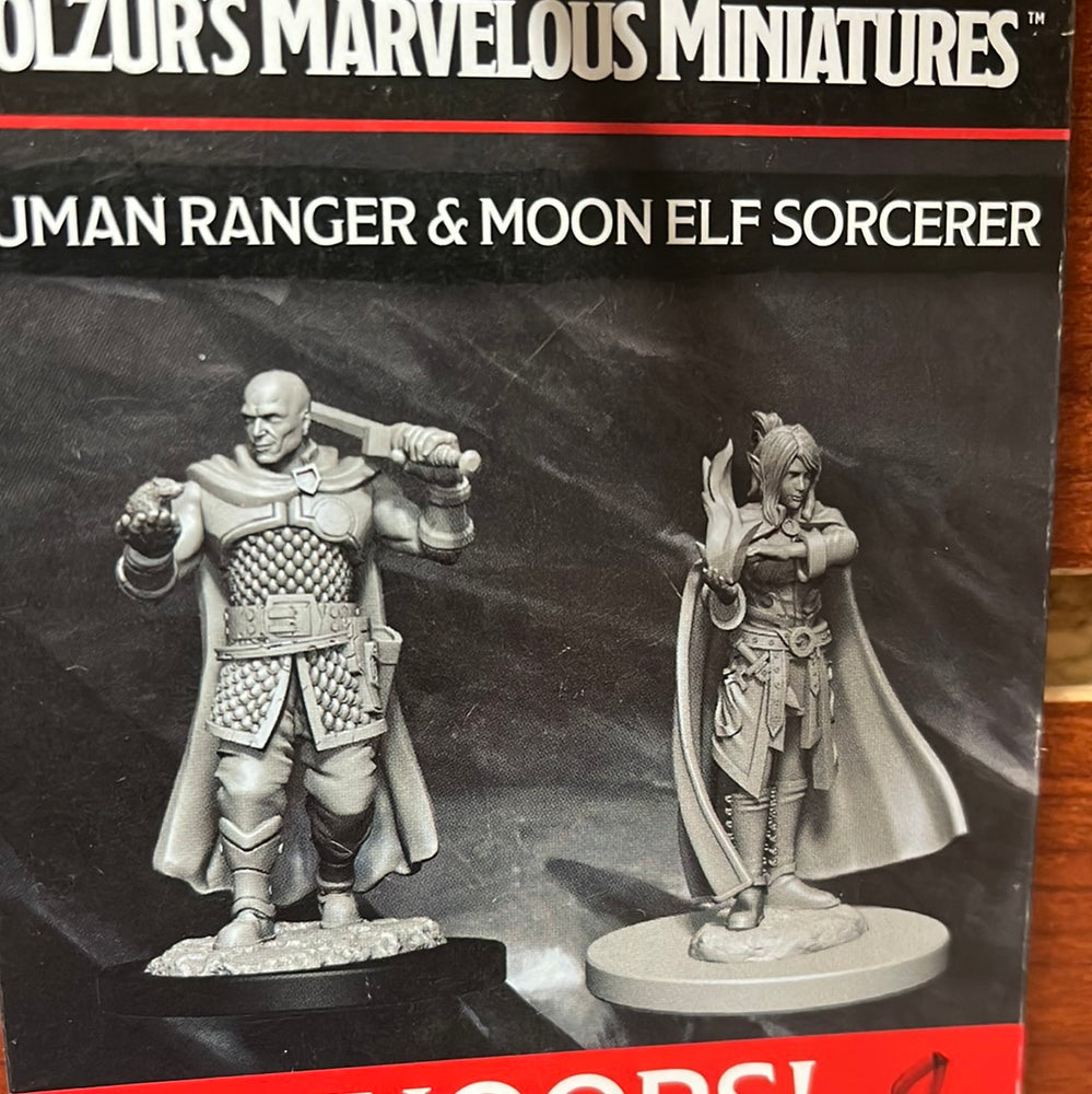 D&D miniature Human Ranger & Moon Elf Sorcerer Wave 8