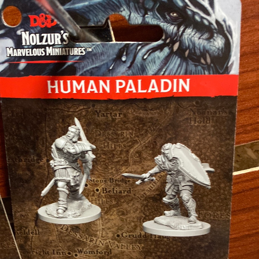 Nolzur’s Miniatures Human Paladin Wave 3