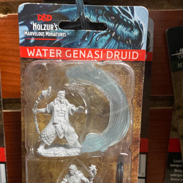 D&D Miniatures Water Genasi Druid