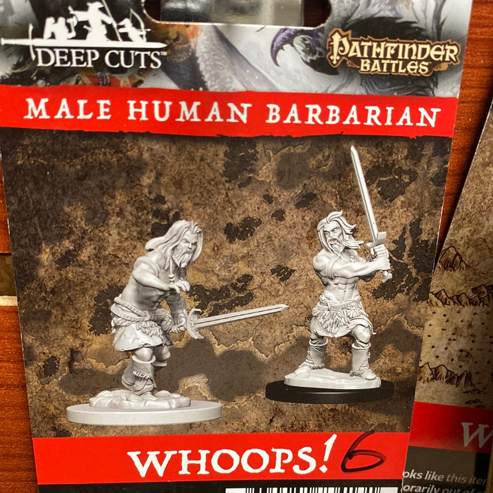 Pathfinder Miniature Male Human Barbarian Wave 6