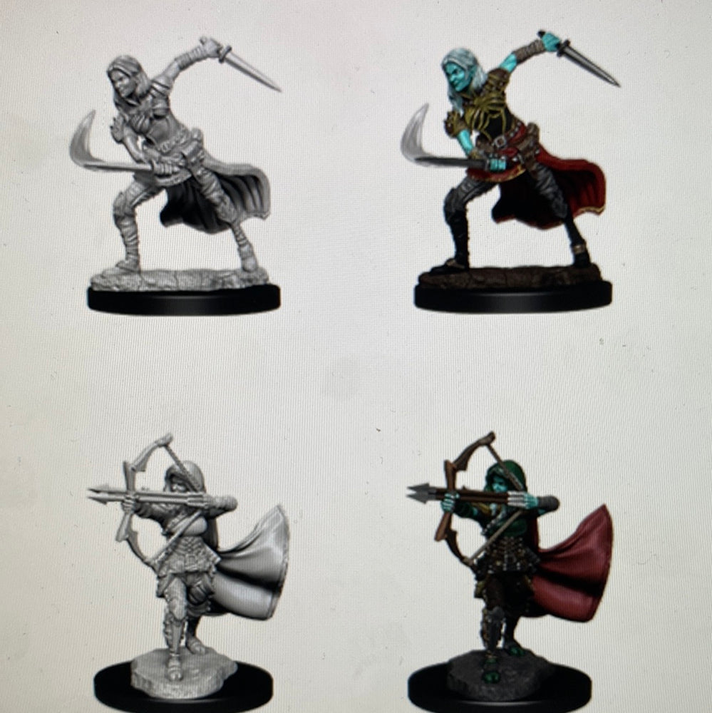 Nolzur’s Marvelous Miniatures: Air Genasi Female