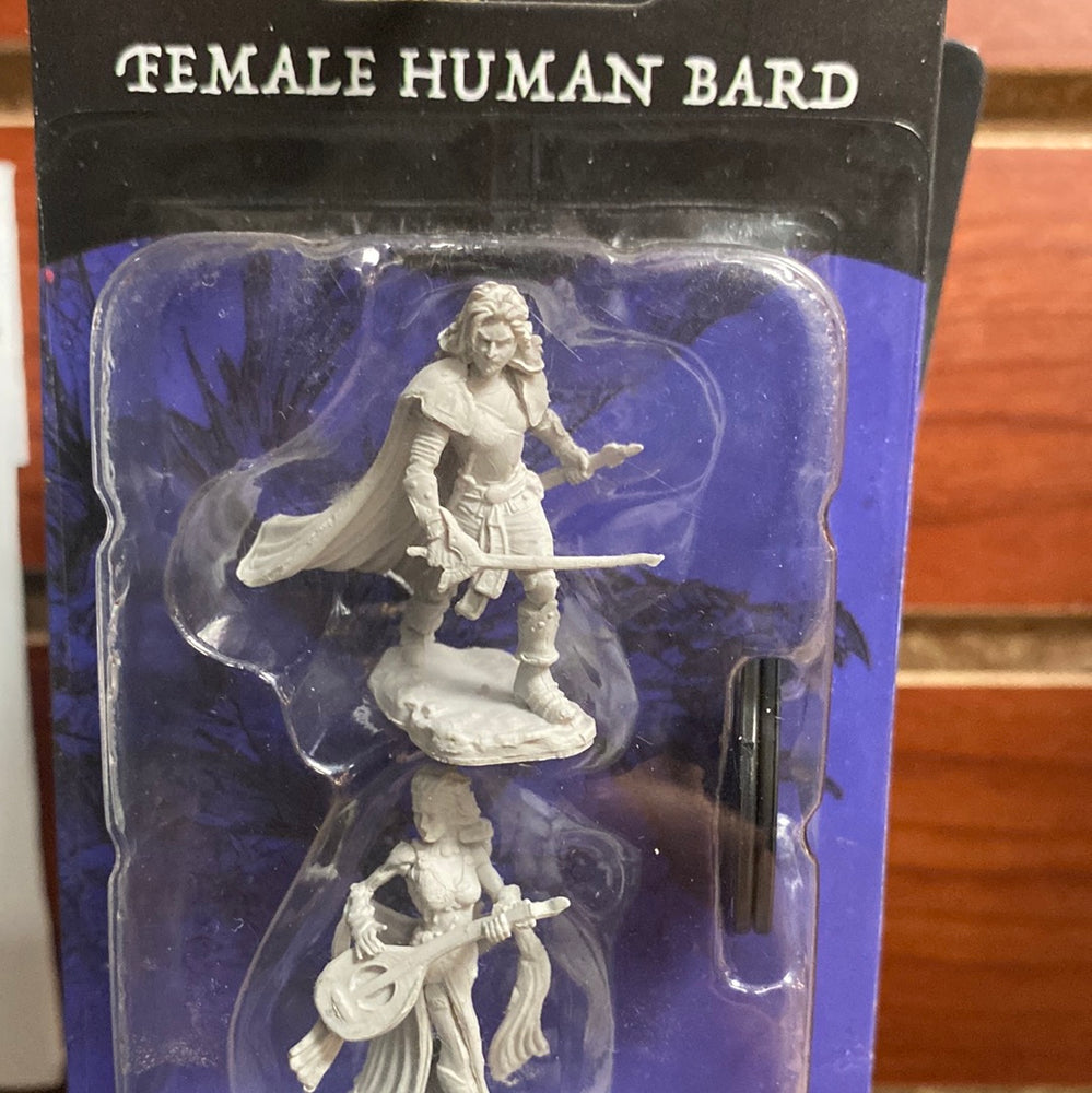 Pathfinder Miniatures Female Human Bard