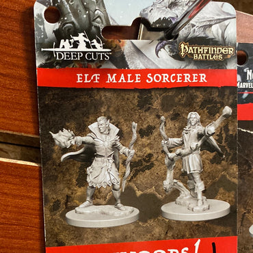 Pathfinder Miniatures Elf Male Sorcerer Wave 1