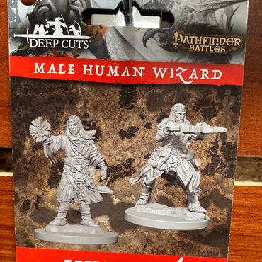 D&D Miniature Male Human Wizard Wave 6