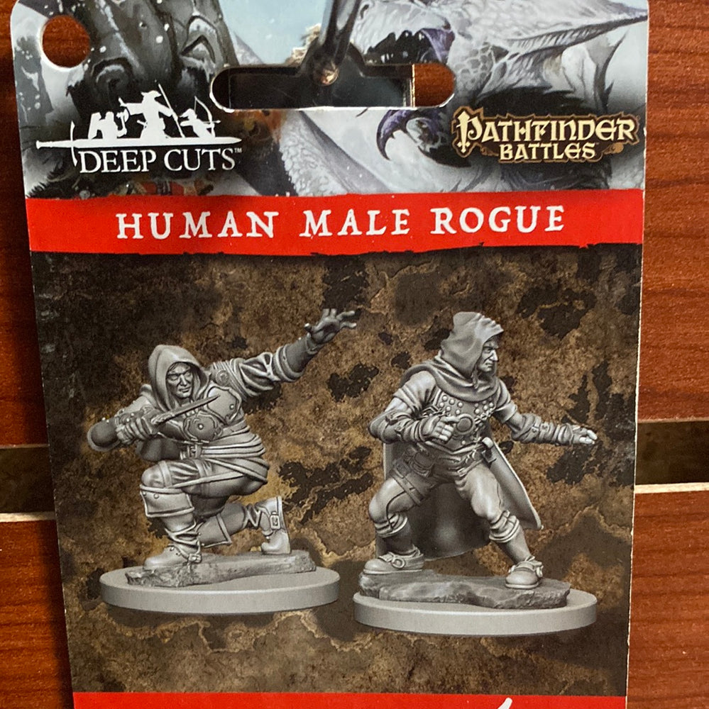 Pathfinder Battles Miniatures Human Male Rogue wave 1