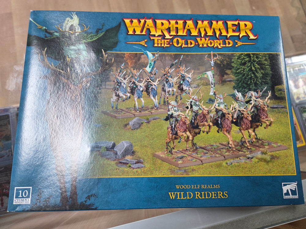 Wood Elf Realms - Wild Riders